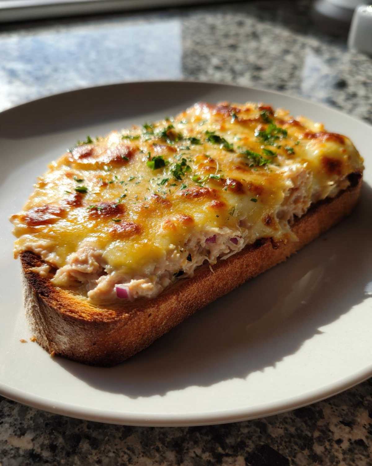 Open-faced tuna melt - detail 1