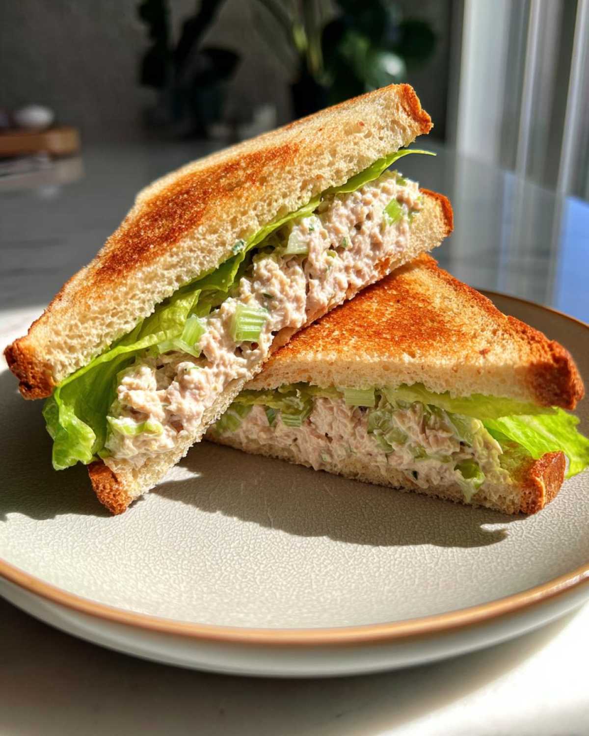 Tuna salad sandwich with celery - detail 2