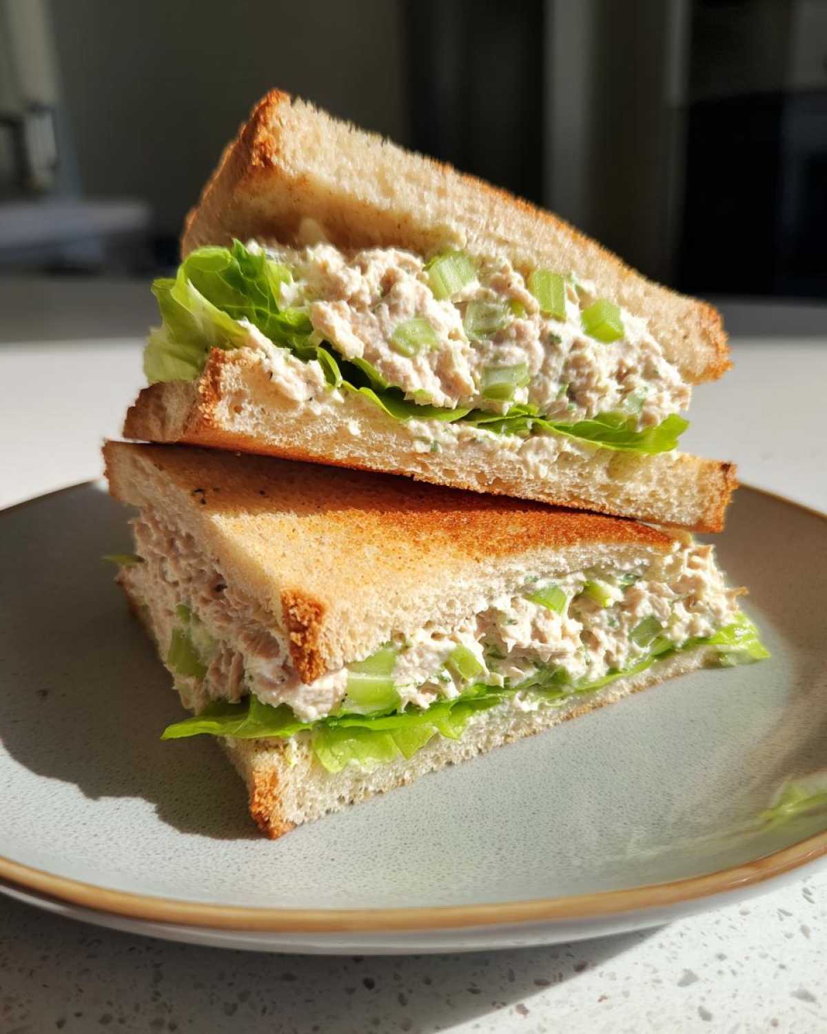 Tuna salad sandwich with celery - detail 3